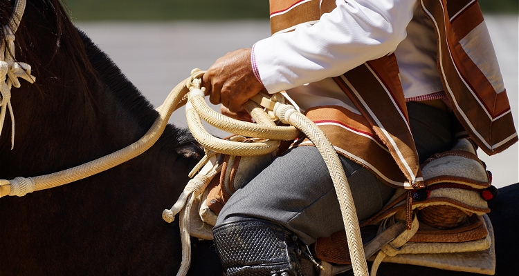 ¿El Rodeo está incluido en la nueva propuesta constitucional?