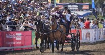 La tradición de los carruajes encantó a los asistentes al Parque Padre Hurtado