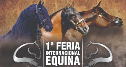 Este fin de semana se realizará la 1ª Feria Internacional Equina del Canal del Caballo