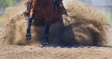 Criadero Doña Olga Orense tendrá clínica de doma y fecha del Reining