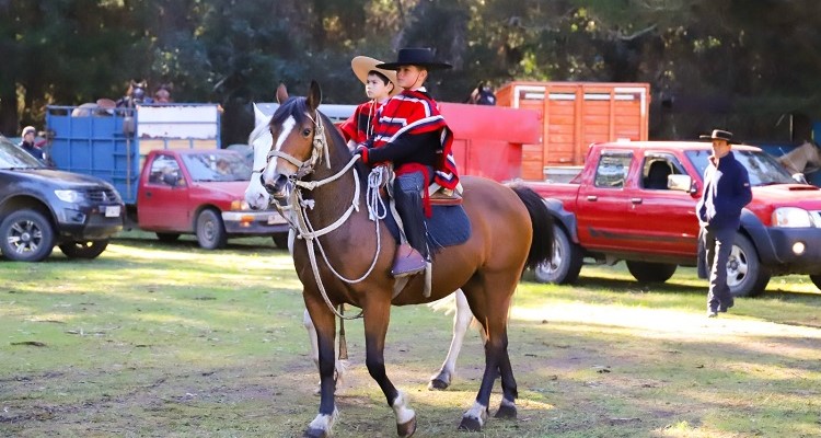 Histórica convocatoria tuvo Cabalgata Familiar de la Municipalidad de Cabrero y los Criadores de Concepción