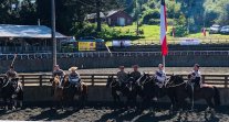 Criadores de Llanquihue y Palena tendrán acción corralera en Loncotoro Criadores de Llanquihue y Palena tendrán acción corralera en Loncotoro