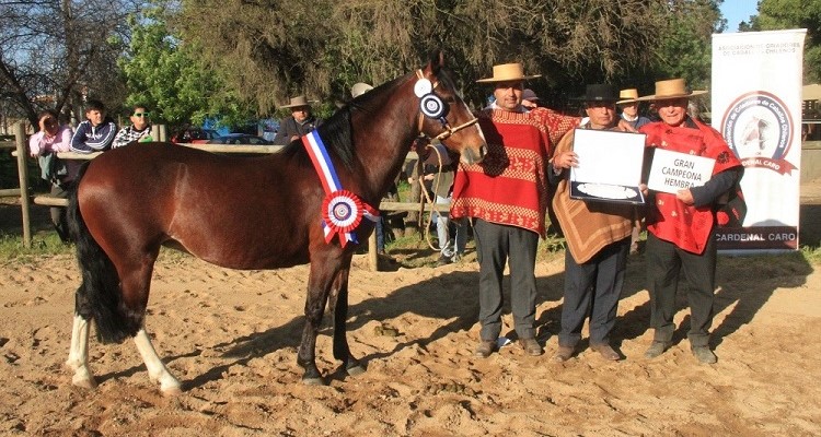 Los sueños se cumplen: el orgullo de Oscar Silva y Juan Fuentes tras el triunfo en la Expogama