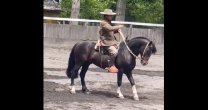 Gran visita en Criadero On Teo: Rodrigo Castell realizó valiosa y entretenida clínica de rienda Gran visita en Criadero On Teo: Rodrigo Castell realizó valiosa y entretenida clínica de rienda