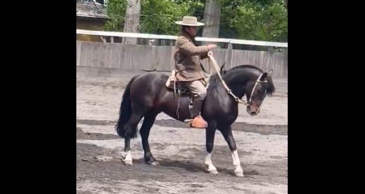 Gran visita en Criadero On Teo: Rodrigo Castell realizó valiosa y entretenida clínica de rienda