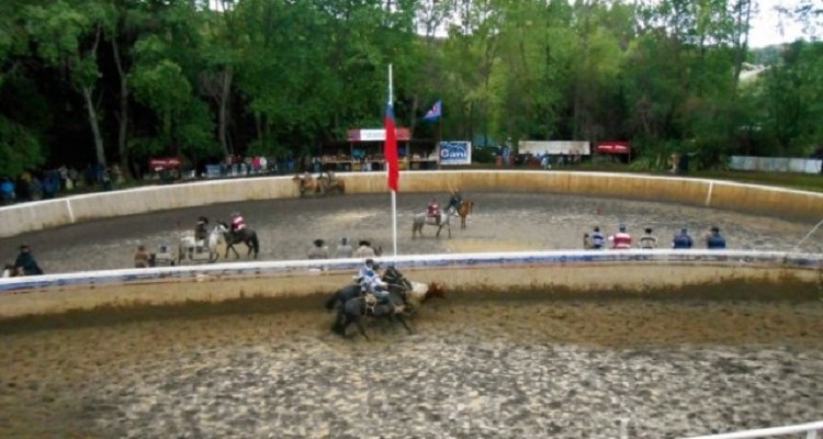 Criadores de Llanquihue y Palena se trasladan a Puerto Montt para su segundo rodeo de la temporada