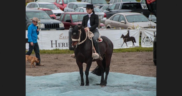 Centro Integral del Caballo de Santa Rebeca tiene un entretenido evento este sábado