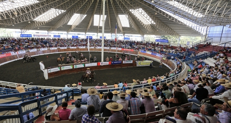 Asociación X Región prepara exposición y rodeo para criadores en la Fisur