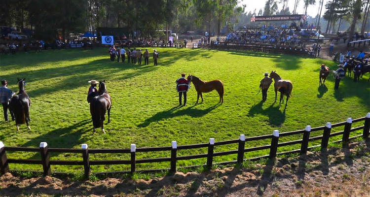 La gran fiesta de Collipulli: Conoce los detalles del evento a realizarse entre el 24 y 26 de noviembre