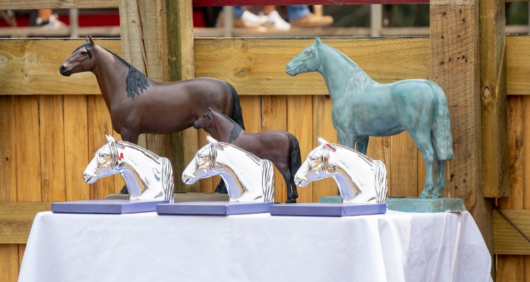 El programa de la Asociación Malleco para exposición, Final de Pruebas Funcionales y rodeo para criadores