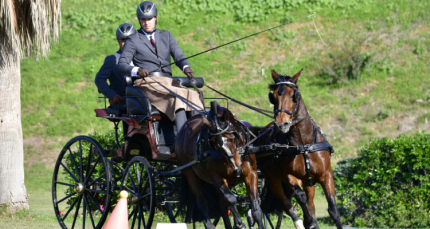 La espectacular presentación de Lo Campino en el enganche de Andalucía