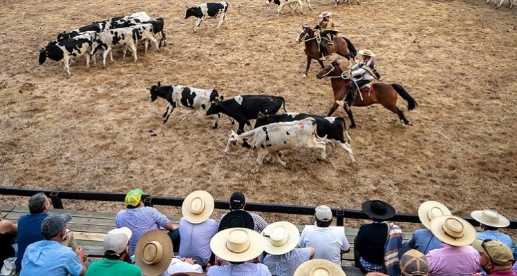 Mateo Rodríguez: Será una gran experiencia hacer esta primera Final de Pruebas Funcionales