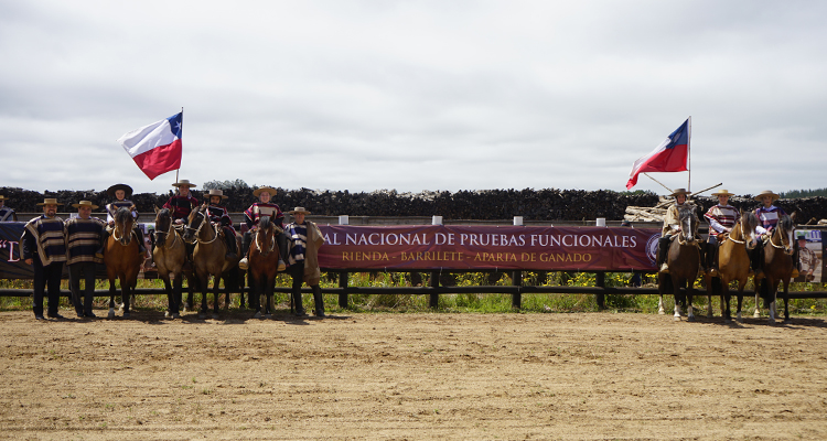 Barrilete Chileno coronó a sus primeros campeones nacionales en Collipulli