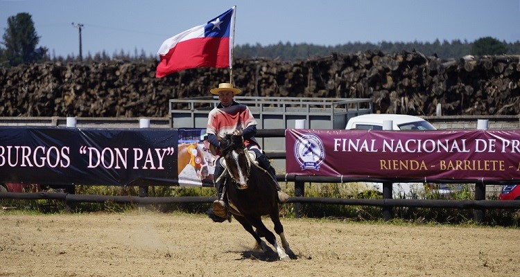 Marcelo Troncoso, campeón en Collipulli: Estas pruebas ayudan para que se animen a participar en rienda