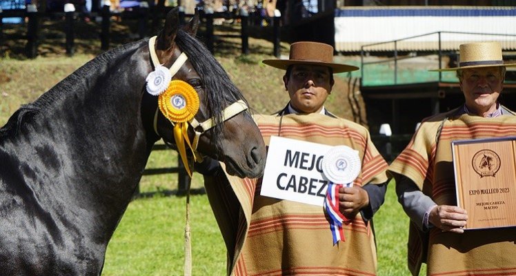 Harald Stegmann y Germán Robles ya piensan en Catapilco tras ganar la Expo Malleco