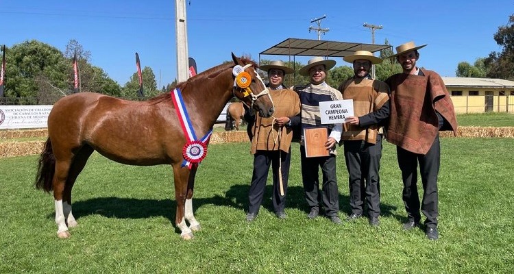 Expo Melipilla: Princesa y Chico Fachoso fueron los mejores en una linda jornada en Bollenar