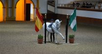 El garbo de la Real Escuela Andaluza del Arte Ecuestre