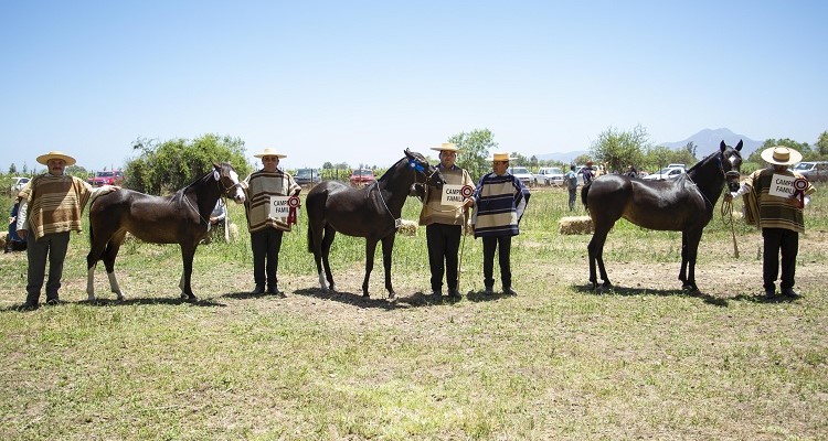 Criadores de Limarí muestran bastante interés por participar en su próxima exposición