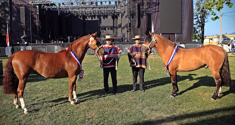 La Rinconada Miti Mota y Tierra Noble Princesa, grandes triunfadores en la Expocol