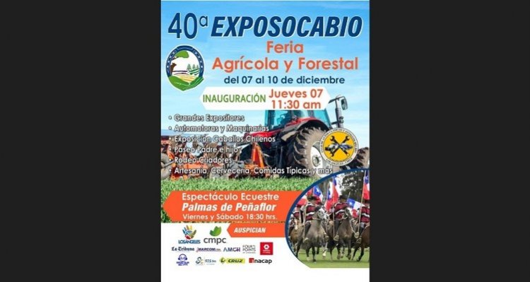 ¡Bío Bío está de fiesta! ExpoSocabío vuelve con exposición, rodeos y la Escuadra Palmas de Peñaflor