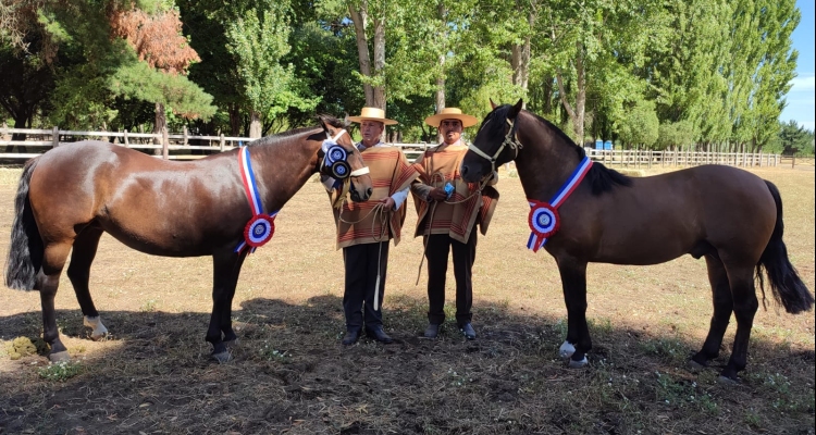 Criadores de Concepción tienen abiertas las inscripciones para su Exposición