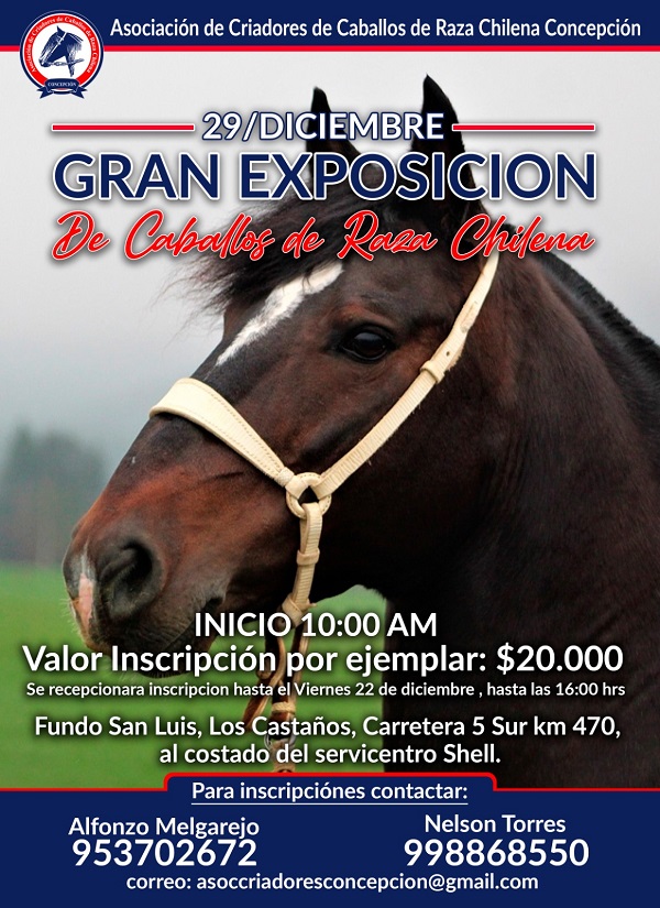 Imagen foto_00000002