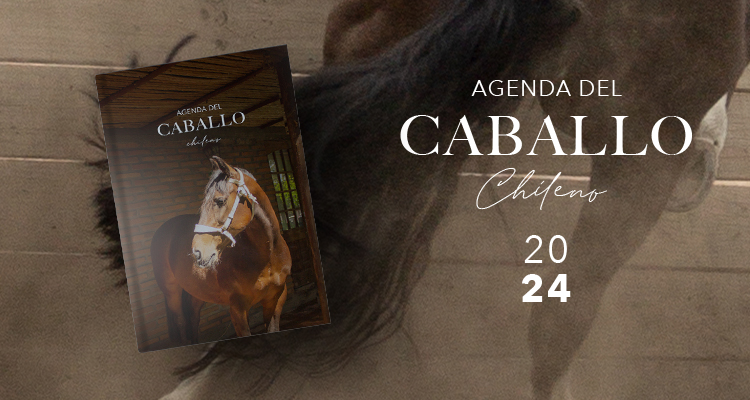 La Agenda del Caballo ya está disponible en preventa y tendrá su lanzamiento el 19 de diciembre