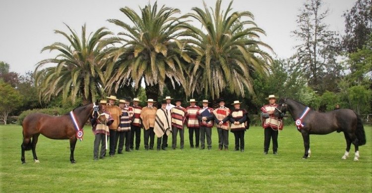 Expo Casablanca tendrá muy buena convocatoria