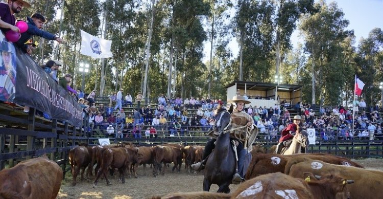 ¿Quiénes pueden participar en las Pruebas Funcionales de la Federación de Criadores?