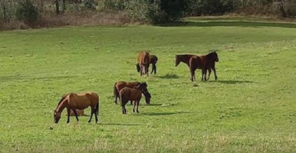 Casas de Logroño y Alta Gracia tienen atractivo remate este martes