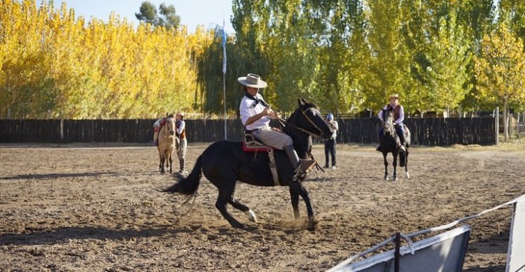 Criadores de Concepción también disfrutarán con Clínica de Rienda