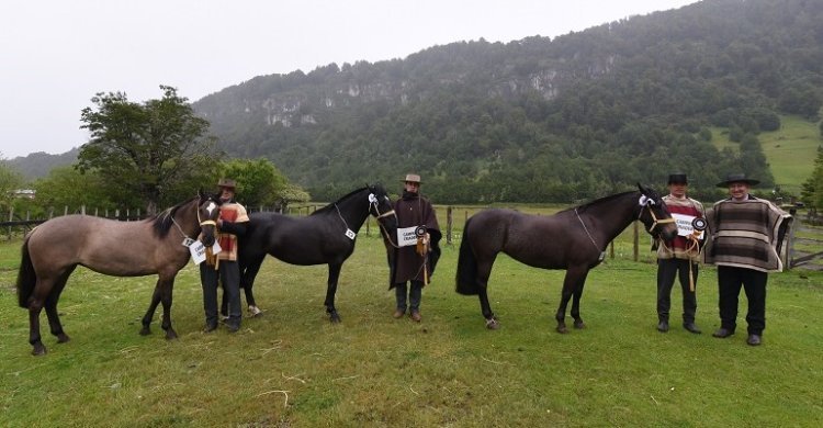 Criadores de Aysén tendrán otra instancia para compartir con su exposición