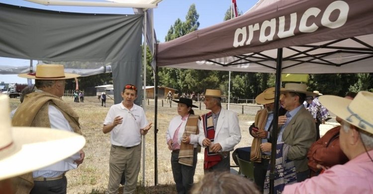 [Videos] Directores de la Federación de Criadores comentaron alianza con Arauco