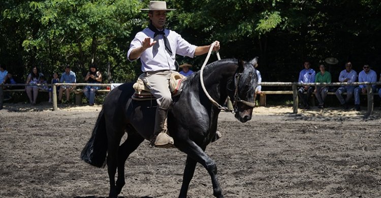 Clínica de Rienda de Rodrigo Castell generó gran interés