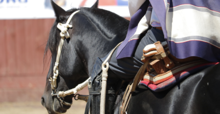 El calendario de rodeos para el inicio de la Temporada Chica