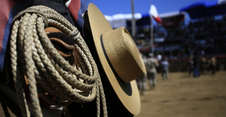 Listado de Colleras para Rodeo Zonal Sur de Cautín