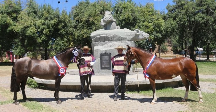 El Guaracazo y Escobilla fueron coronados en la histórica Medialuna de Curicó