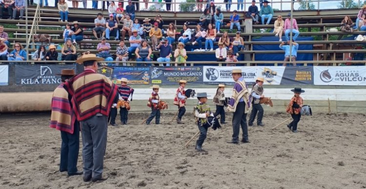 Bases de la Serie Promocional Caballitos de Palo en los Clasificatorios