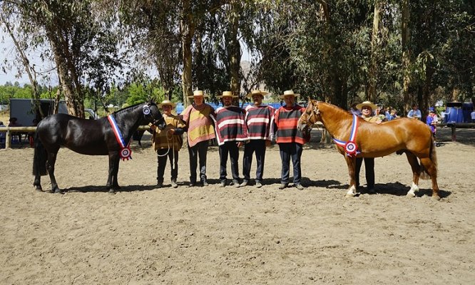 Inscripciones para la Expo Maipo 2023-2024 continúan abiertas