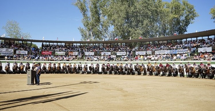 El programa de la Final de Rodeos Para Criadores Pelarco 2024