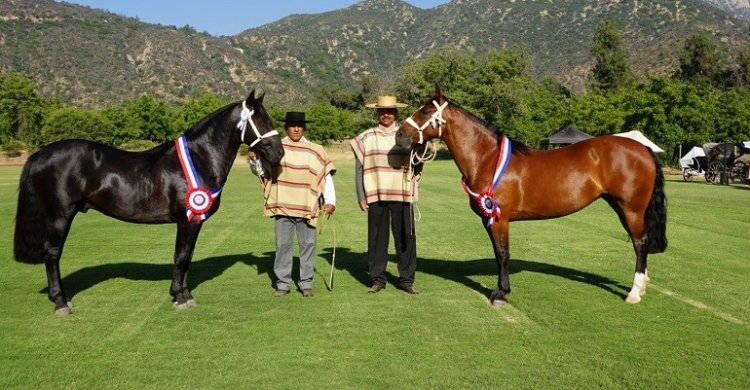 Oña Laura conquistó la Expo Cordillera con Carboncillo y Refinada