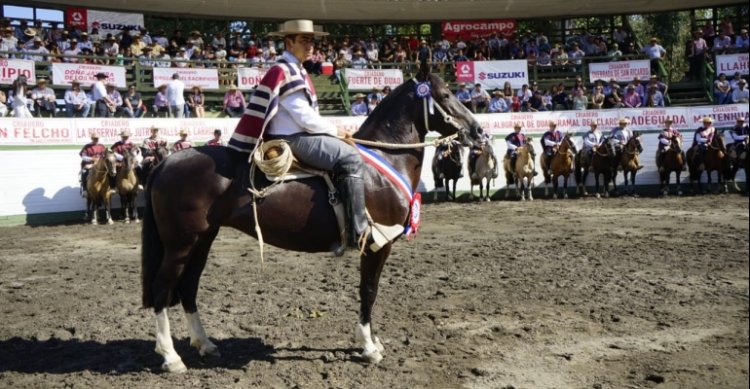 Taitao II Jugadora se llevó el Sello de Raza de la Final de Criadores