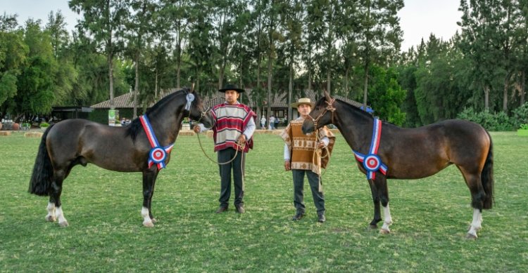 Este es el programa oficial de la Final Nacional de Exposiciones y Funcionalidad