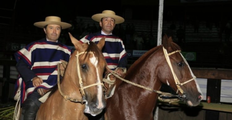 Alfonso Navarro recordó a Gonzalo Vial: 