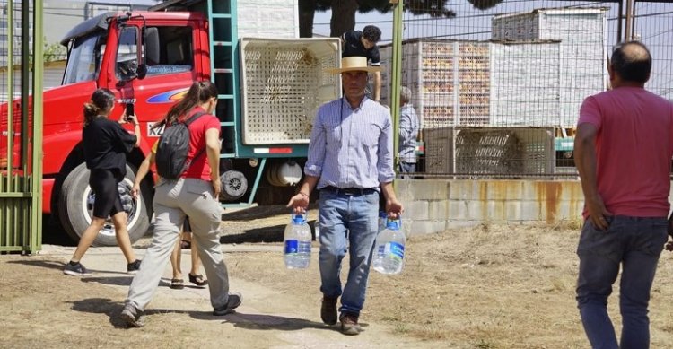 Cristóbal Santolaya: Cuando se necesite, los huasos vamos a estar siempre