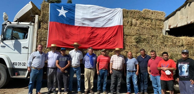 Criadores de Casablanca, Melipilla y Quillota se cuadraron con ayuda solidaria