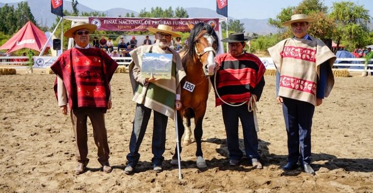 Un premio al esfuerzo: Criador de Magallanes recibió reconocimiento en Catapilco