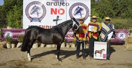 Gabriel Morales: "Para nosotros fue una Exposición Nacional espectacular"