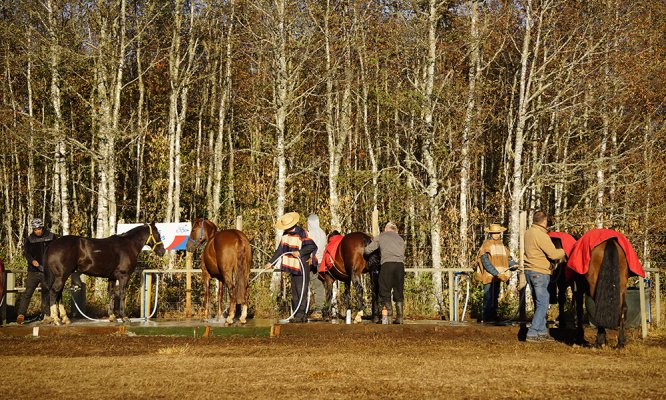 Jinetes sureños se ilusionan de cara a un disputado Clasificatorio de Villarrica