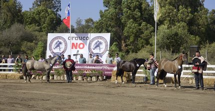 Repasa el desarrrollo de los Grandes Premios de la Expo Nacional 2024 de Catapilco